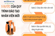 4 bước quy trình đào tạo nhân viên mới: Hiệu quả – toàn diện