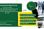 Bảng báo giá cung ứng lao động Lào Cai
