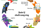 Cung Ứng Lao Động Logistics | Dịch Vụ Bốc Xếp 247