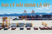 Đại lý hải quan là gì? Mẫu hợp đồng đại lý hải quan mới nhất