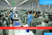 Cung ứng nhân lực Hải Phòng