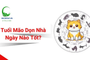 Tuổi Mão dọn nhà ngày nào tốt? Chọn ngày đẹp đón lộc vàng