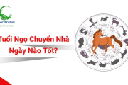 Tuổi Ngọ Chuyển Nhà Ngày Nào Tốt? Chọn Ngày Lành Rước Tài Lộc