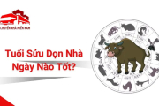 Tuổi Sửu dọn nhà ngày nào tốt? Chọn ngày đẹp đón may mắn