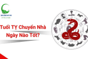 Tuổi Tỵ dọn nhà ngày nào tốt? Chọn ngày đẹp đón may mắn