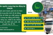 Vì sao cần nguồn cung ứng lao động tại TPHCM