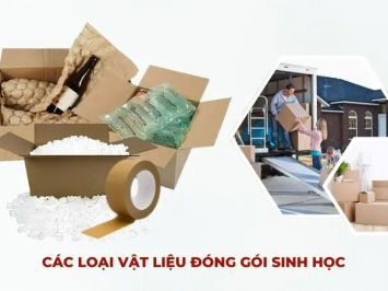 Các Loại Vật Liệu Đóng Gói Sinh Học