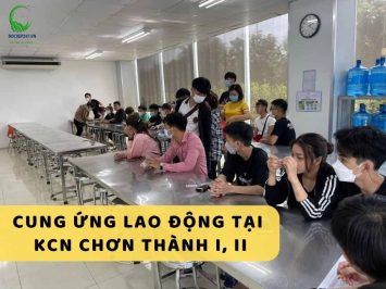 Cung ứng lao động huyện Chơn Thành: Giải pháp tối ưu cho doanh nghiệp địa phương