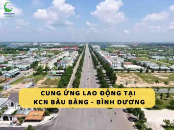 Cung Ứng Lao Động Khu Công Nghiệp Bàu Bàng: Giải Pháp Toàn Diện Cho Doanh Nghiệp