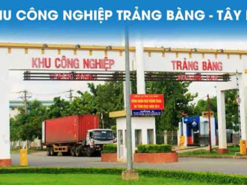 Cung Ứng Lao Động Khu Công Nghiệp Trảng Bàng: Giải Pháp Toàn Diện Từ Thành Tín 247
