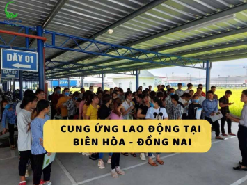 Cung Ứng Lao Động TP Biên Hòa: Giải Pháp Toàn Diện Cho Doanh Nghiệp