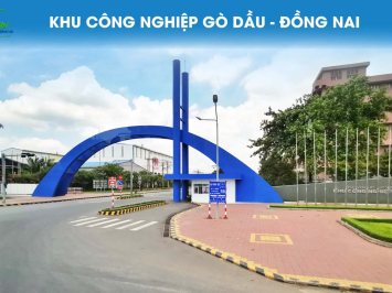 Cung ứng nhân lực KCN Gò Dầu: Thực trạng, Quy trình và Giải pháp từ Thành Tín 247