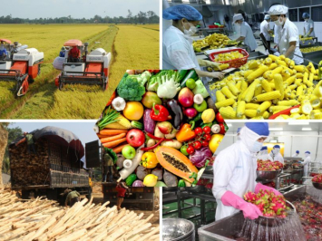 Giải pháp Fulfillment Thực Phẩm Và Nông Sản