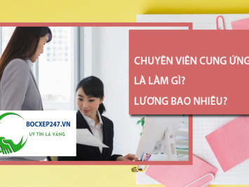 Nhân Viên Cung Ứng Lao Động: Mức Lương Bao Nhiêu? Khám Phá Dịch Vụ Bốc Xếp 247 Tại TP.HCM