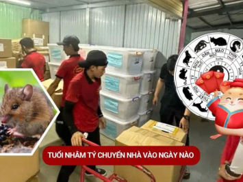 Tuổi Nhâm Tý Chuyển Nhà Vào Ngày Nào Đẹp Năm 2025?