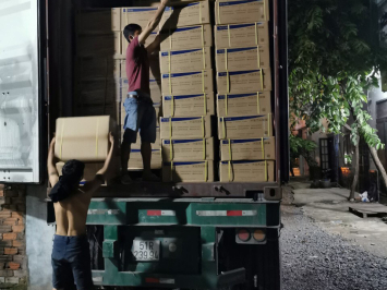 Việc làm bốc xếp ca đêm: Cơ hội, thách thức và những điều bạn cần biết