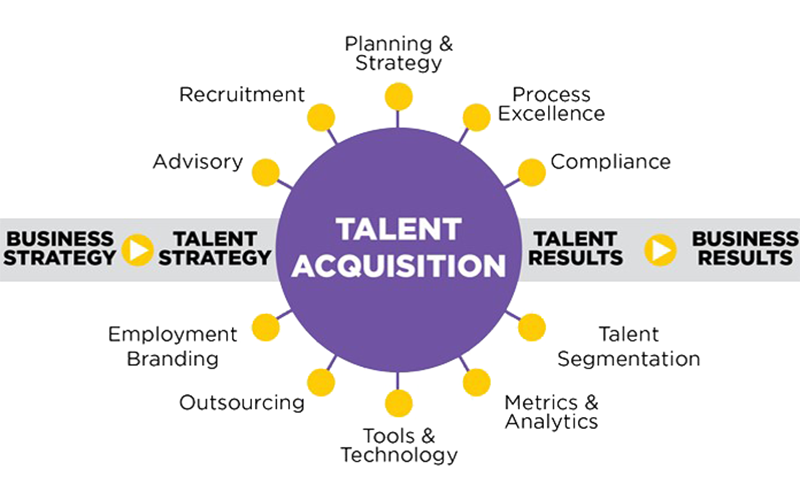 Vai Trò Chiến Lược Của Talent Acquisition Trong Doanh Nghiệp