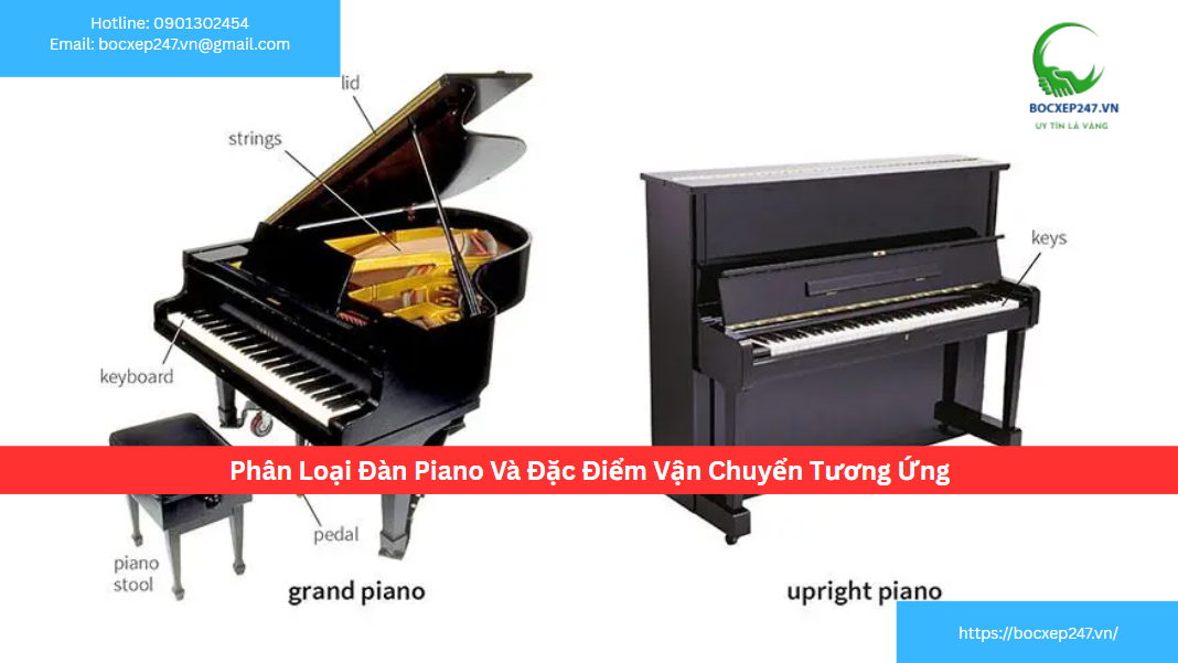 Phân Loại Đàn Piano Và Đặc Điểm Vận Chuyển Tương Ứng