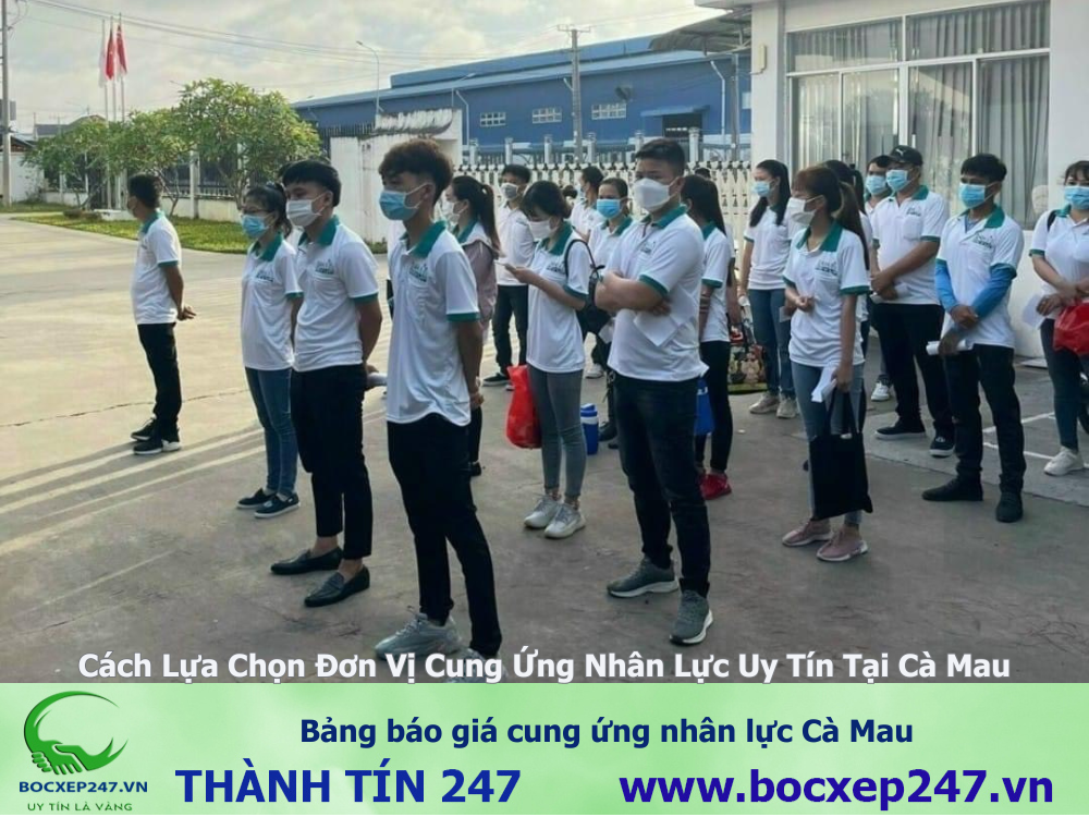 Bảng báo giá cung ứng nhân lực Cà Mau