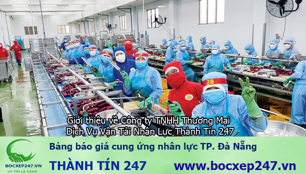 Bảng báo giá cung ứng nhân lực TP. Đà Nẵng