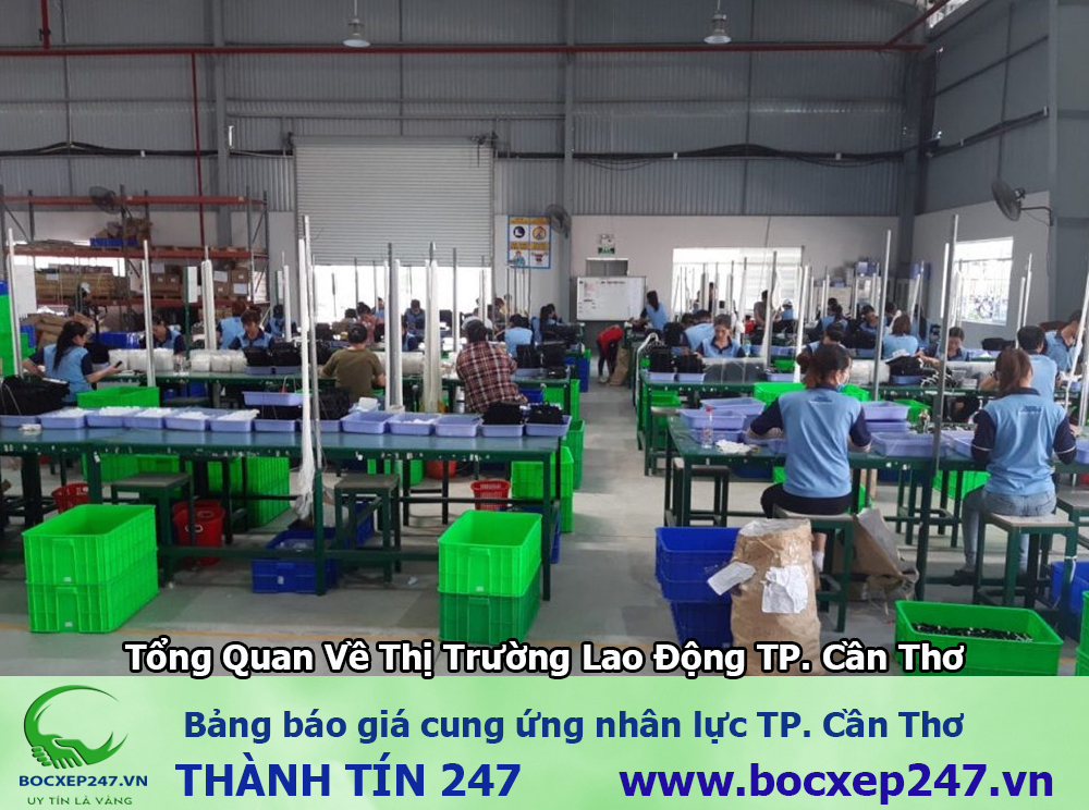 Bảng báo giá cung ứng nhân lực TP. Cần Thơ