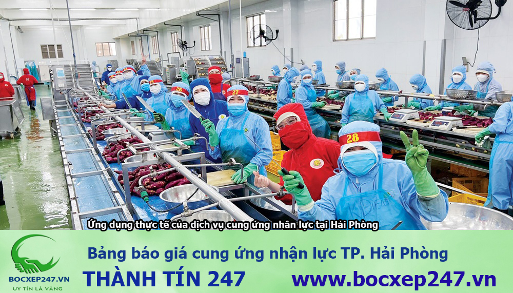 Bảng báo giá cung ứng nhận lực TP. Hải Phòng