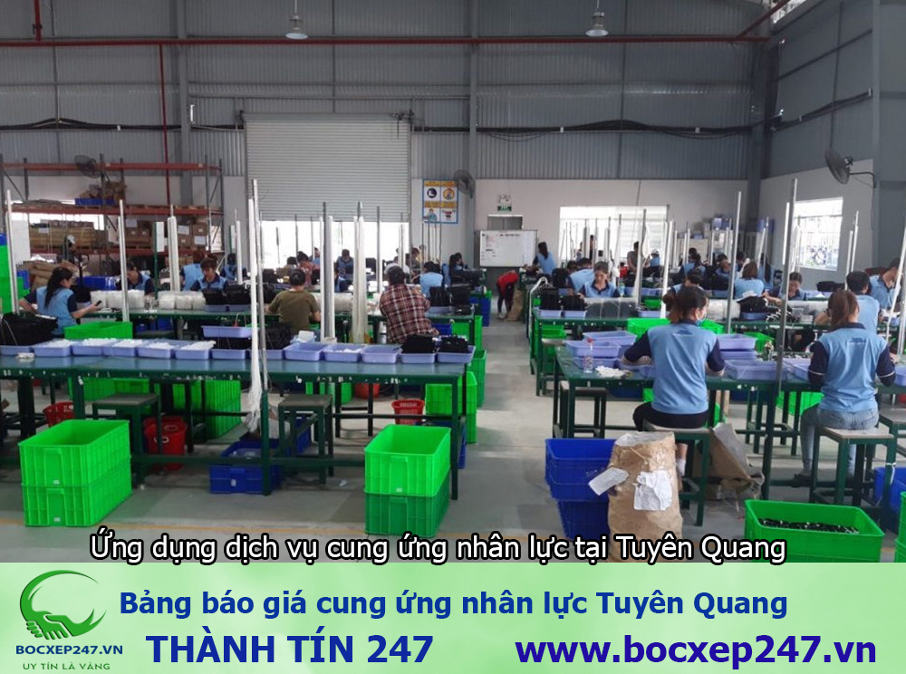 Bảng báo giá cung ứng nhân lực Tuyên Quang