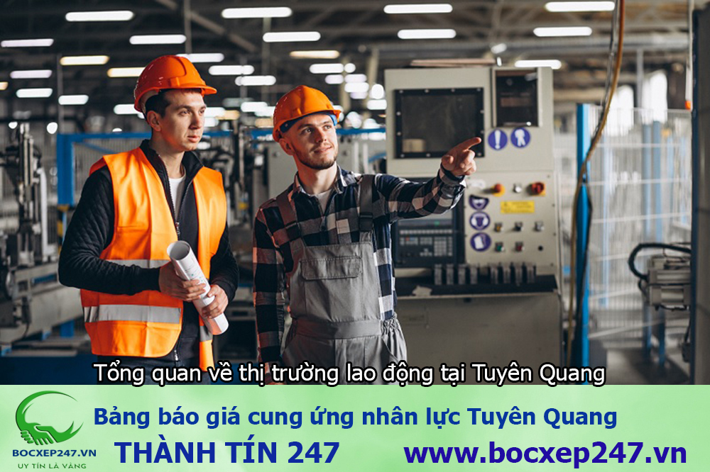 Bảng báo giá cung ứng nhân lực Tuyên Quang