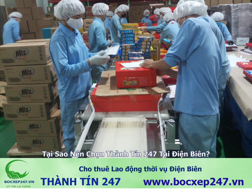 Cho thuê Lao động thời vụ Điện Biên