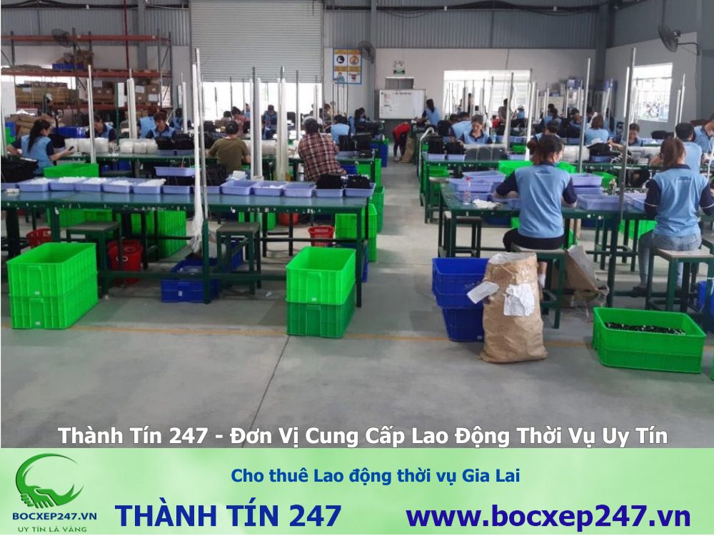Cho thuê Lao động thời vụ Gia Lai