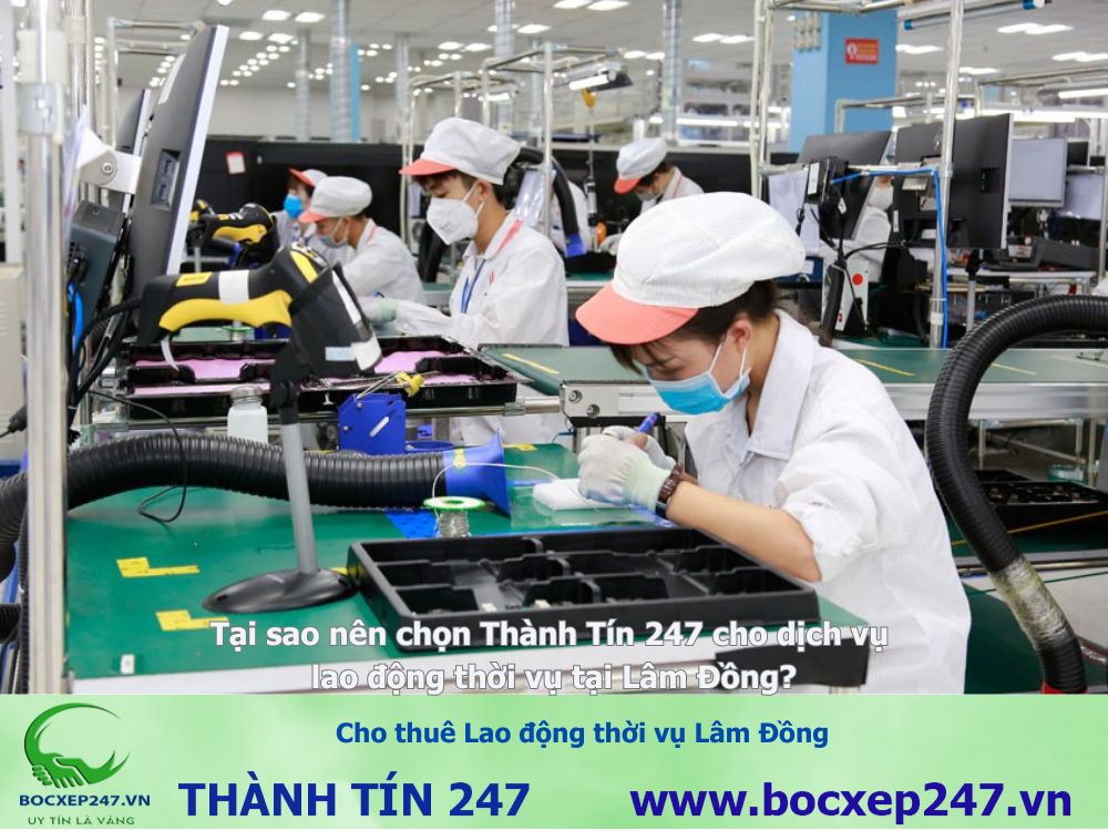 Cho thuê Lao động thời vụ Lâm Đồng