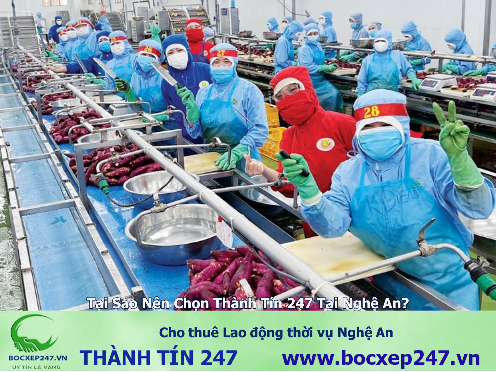 Cho thuê Lao động thời vụ Nghệ An