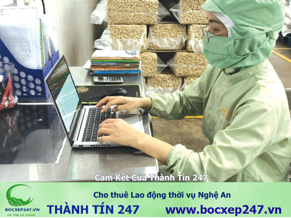 Cho thuê Lao động thời vụ Nghệ An