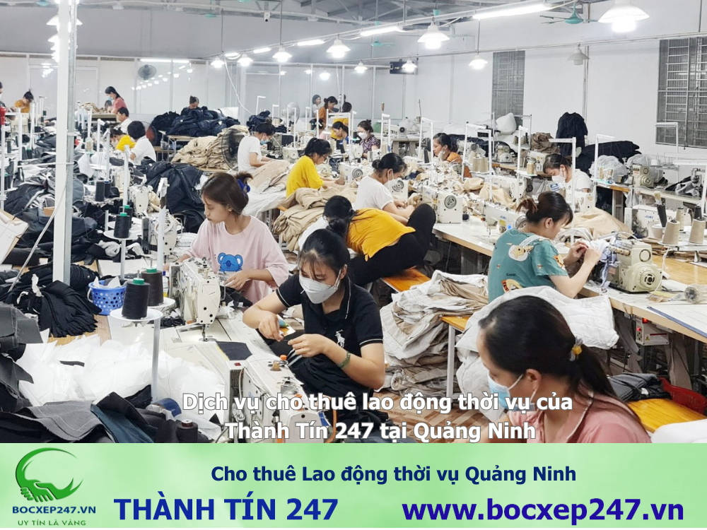 Cho thuê Lao động thời vụ Quảng Ninh