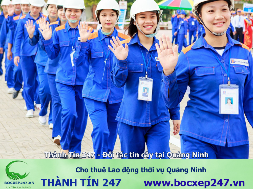 Cho thuê Lao động thời vụ Quảng Ninh