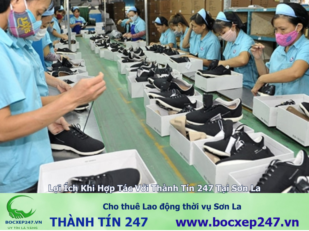 Cho thuê Lao động thời vụ Sơn La