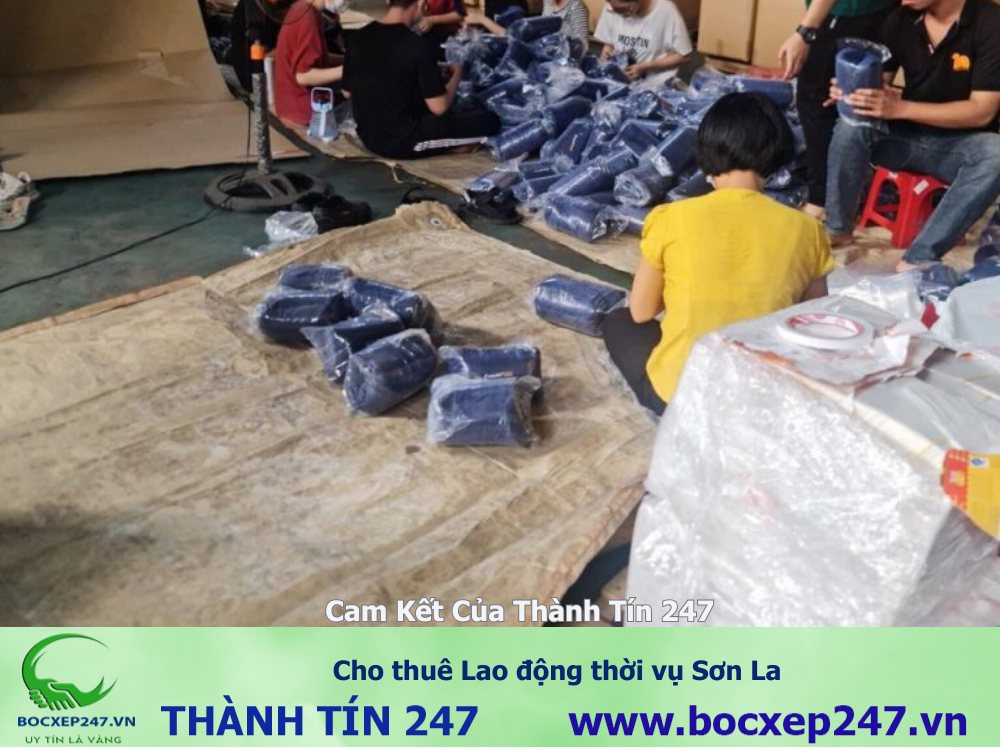 Cho thuê Lao động thời vụ Sơn La