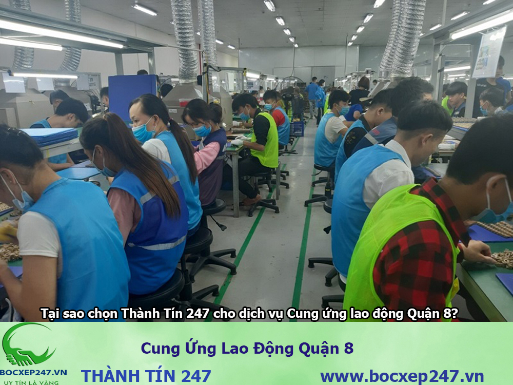 Bảng báo giá cung ứng lao động Quận 8