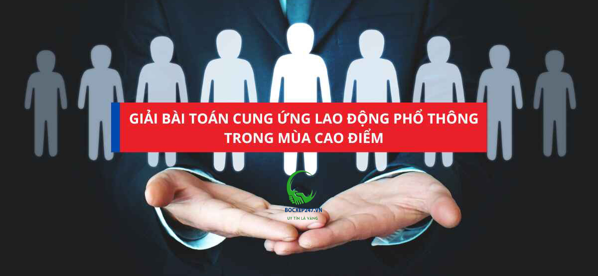 giải pháp cung ứng lao động và khuyến nghị