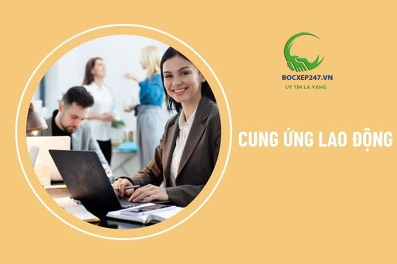 Đội ngũ lao động chuyên nghiệp của Bốc xếp 247 tại TPHCM
