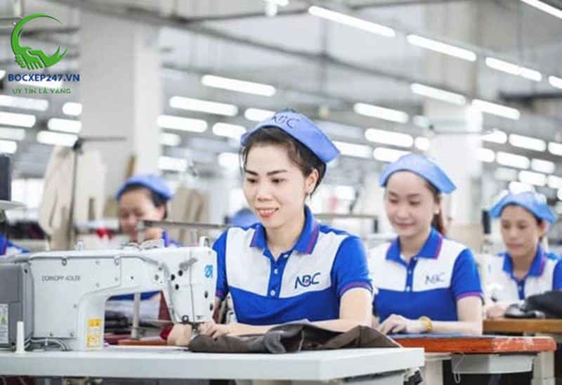 Cung ứng lao động trong nước