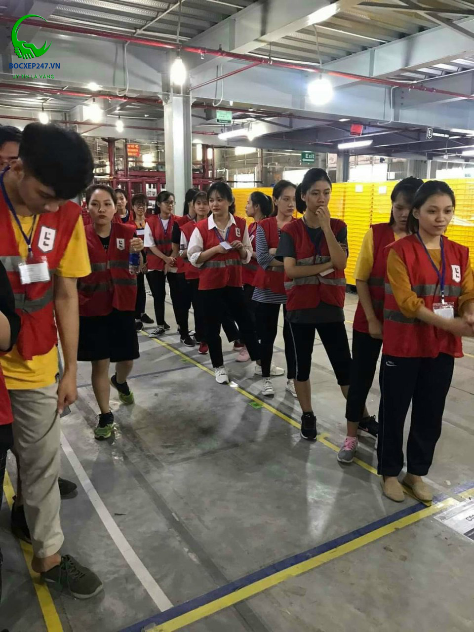 Cung Ứng Lao Động