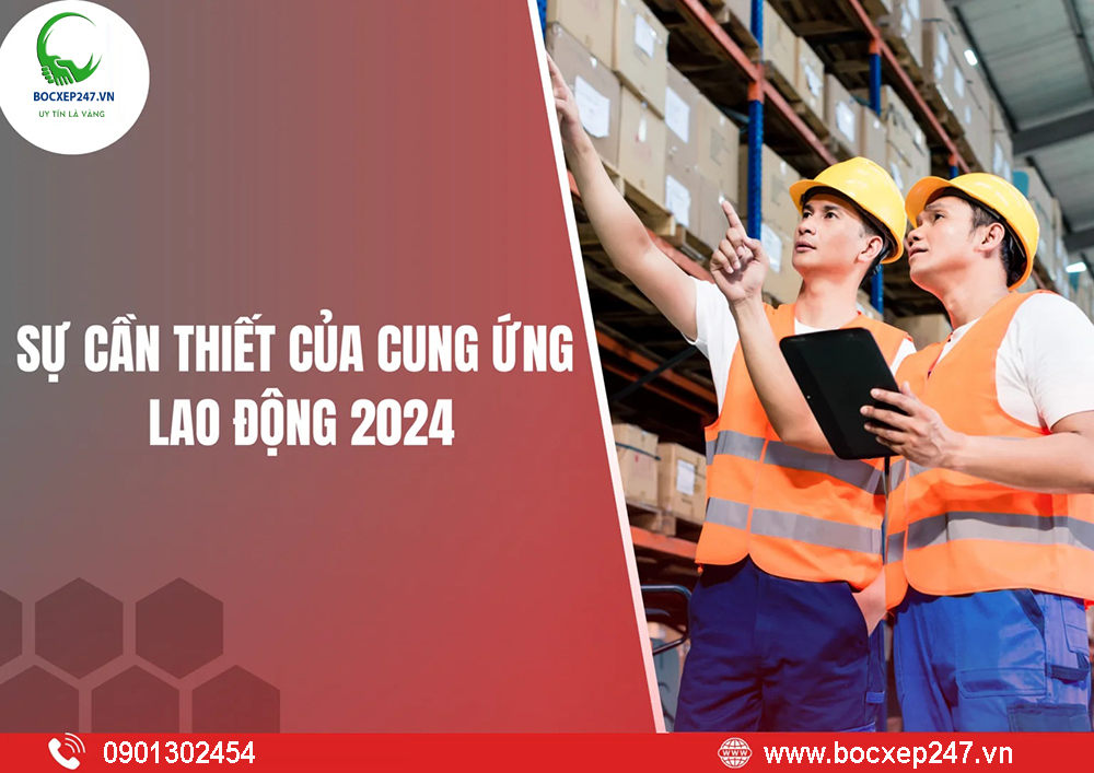 Trường Hợp Nghiên Cứu: Dịch Vụ Cung Ứng Lao Động Của Thành Tín 247