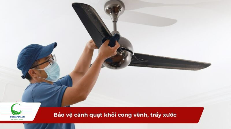 Bảo vệ cánh quạt khỏi cong vênh, trầy xước