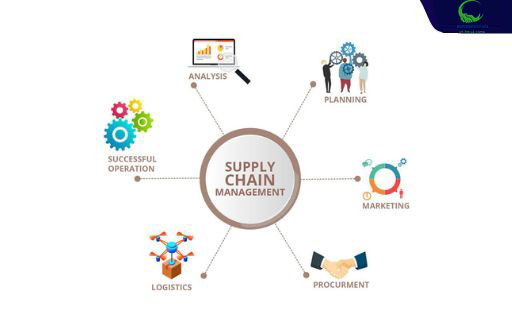 Supply chain là cầu nối vững chắc