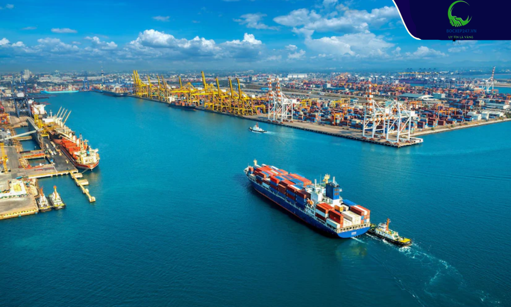 Các công ty logistics tại Việt Nam Hot nhất hiện nay