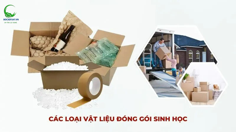 các vật liệu đóng gói sinh học