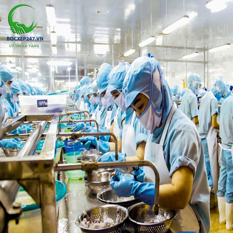 Công nhân thời vụ là gì? Các lưu ý khi làm công nhân thời vụ