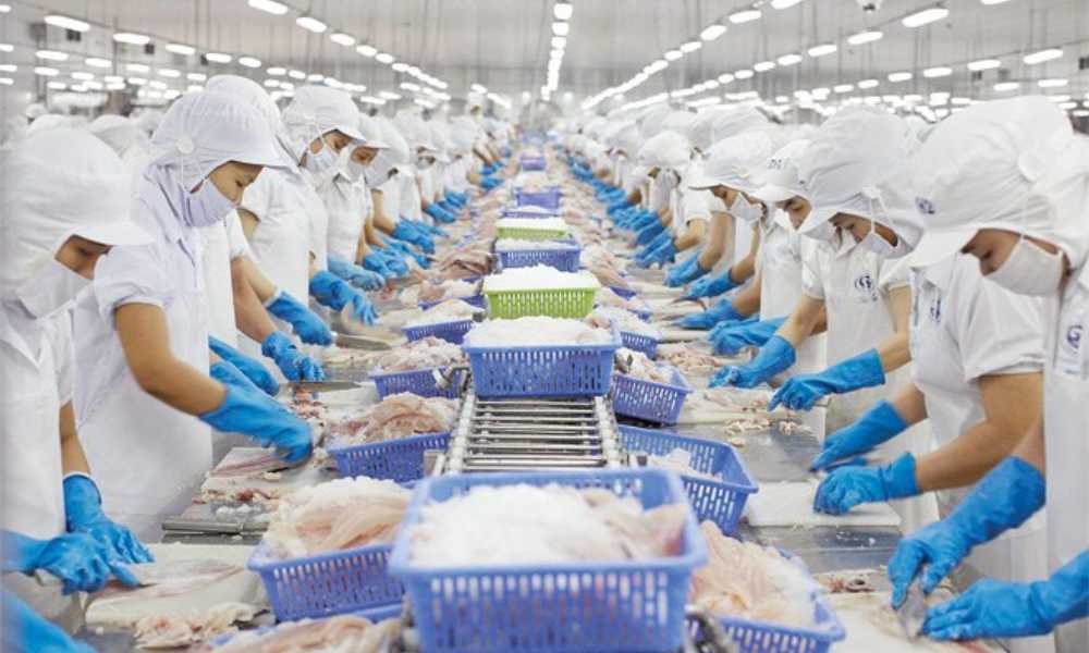 Một công ty chế biến và phân phối thủy sản xuất khẩu sang Liên Bang Nga