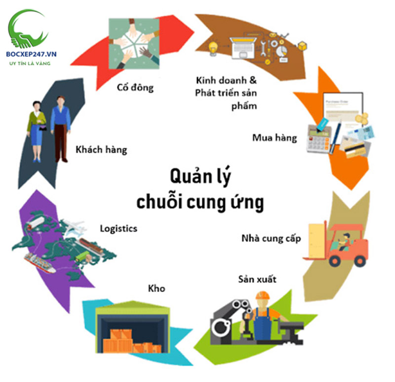 Cung Ứng Lao Động Logistics | Dịch Vụ Bốc Xếp 247